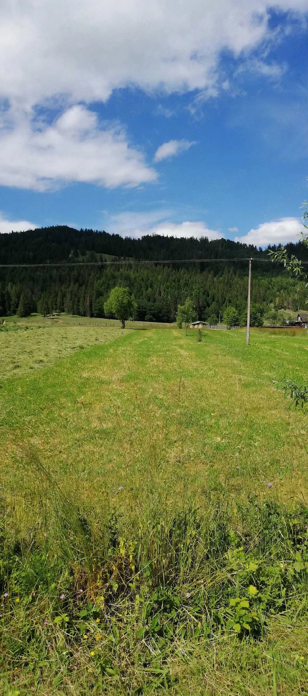 Teren intravilan 1.011 mp   Frasin, zona Gării