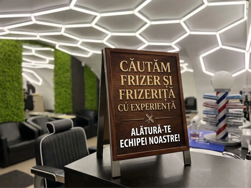 Frizer sau Frizerita 