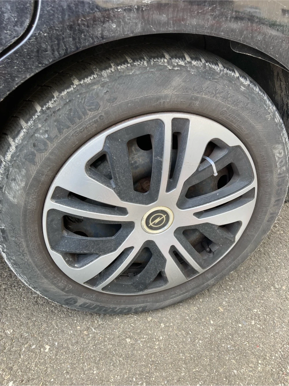 vand roti iarna 205/55/16 Opel