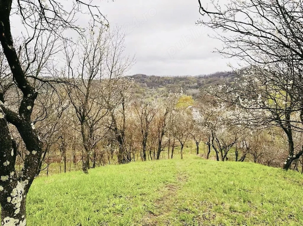 Vând teren intravilan, zona de munte superbă! 