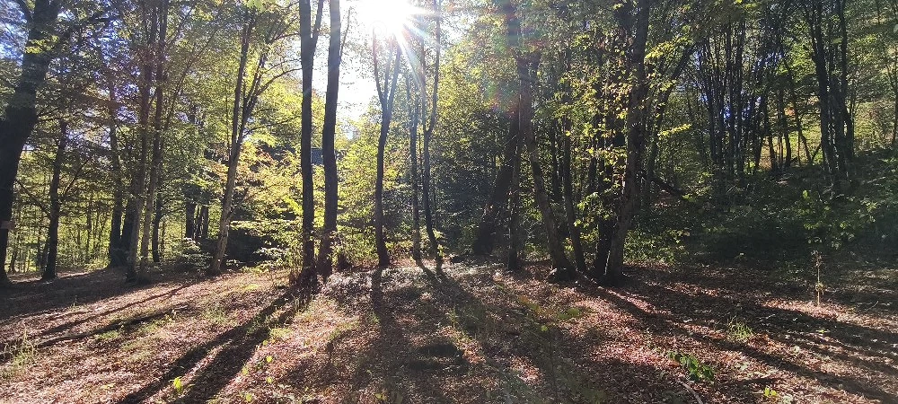 TEREN Intravilan 500-1000mp | Cadru natural deosebit  | OCAZIE DE INVESTITIE 