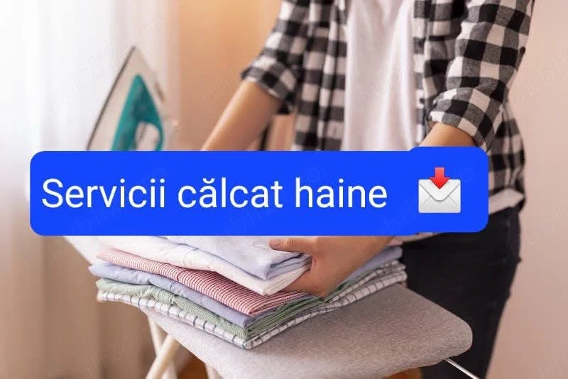 Execut curatenie si calcat la Carei.