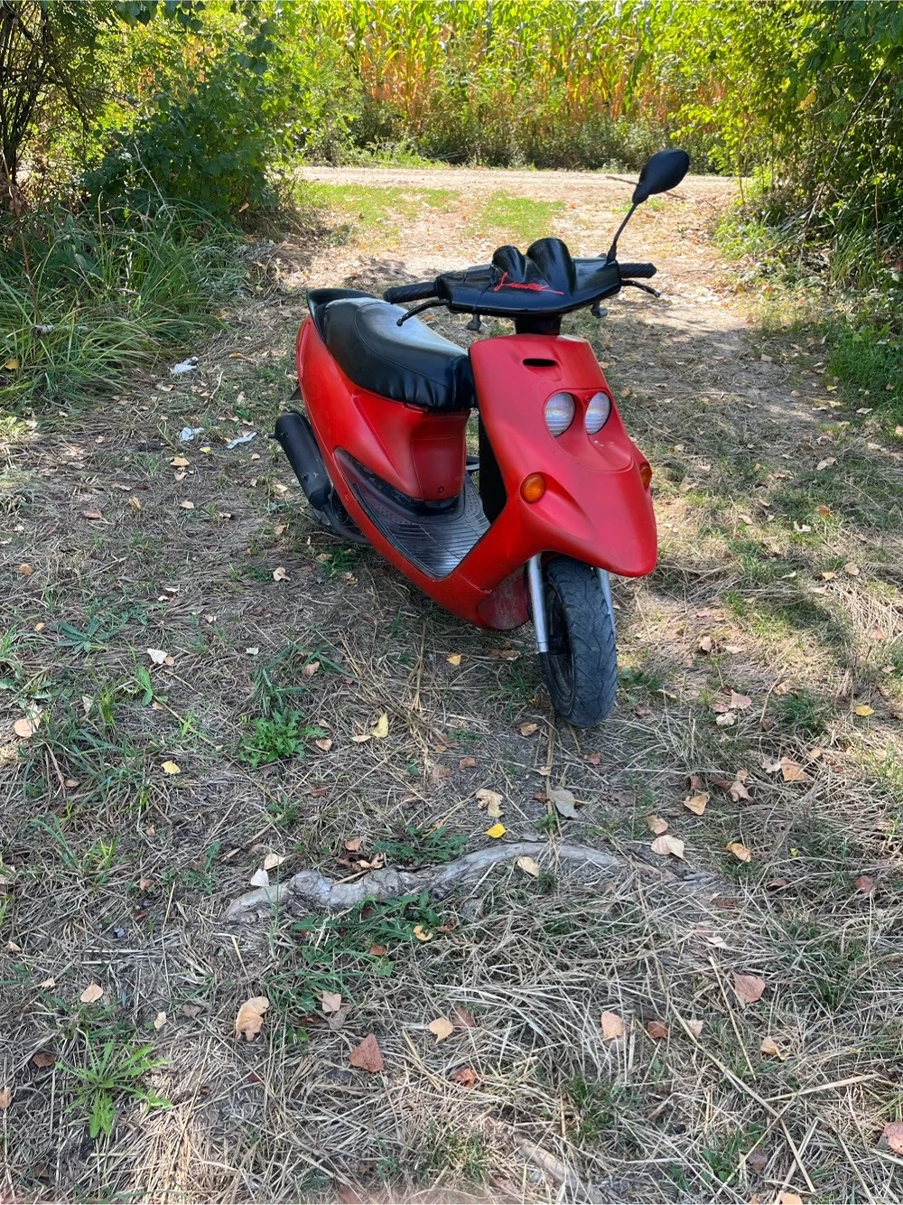 vand scuter malaguti f10