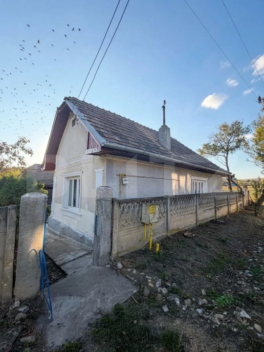 Casa de vanzare, 185 mp, 1900 mp teren, zona Iacobeni