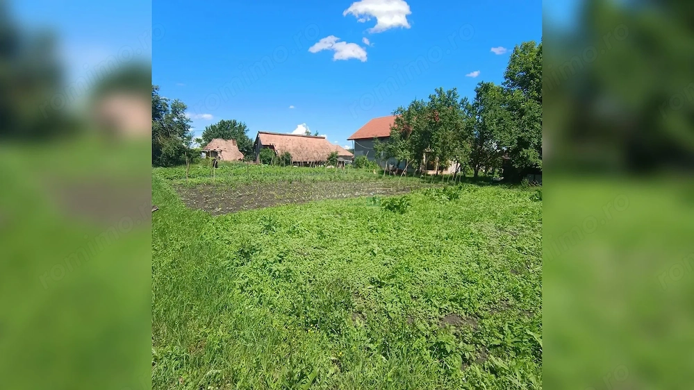 TEREN 1557MP CU UTILITĂȚI PRETABIBIL DUPLEX/CASĂ INDIVIDUALĂ JUCU CLUJ