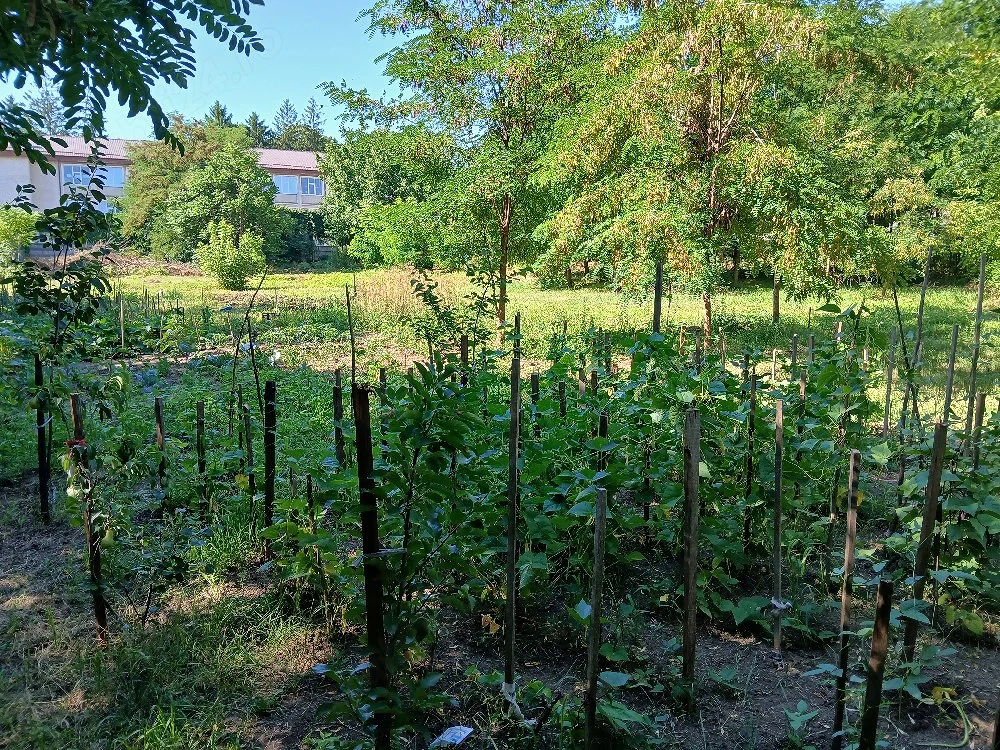 Teren de vânzare 5.088 în Municipiul Roman, Județul Neamț
