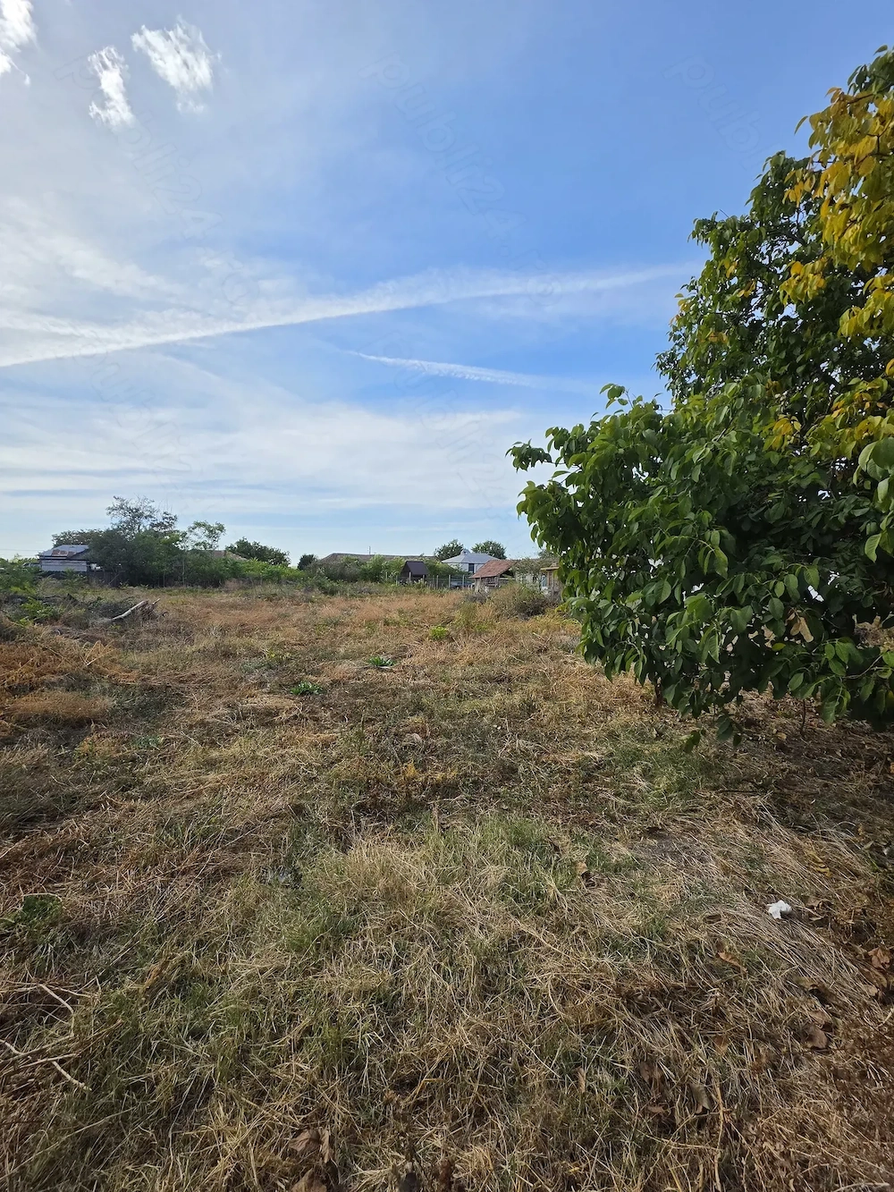 Teren intravilan corabia (silistoara)