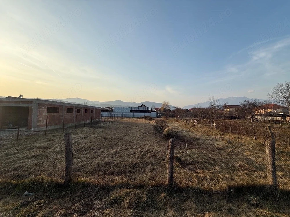Teren de vanzare Jiblea Noua, Calimanesti