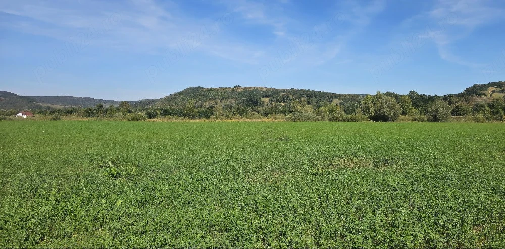 Teren 3500mp linga digul Oltului
