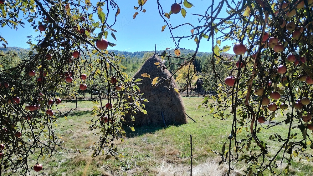 Teren intravilan in zona de munte