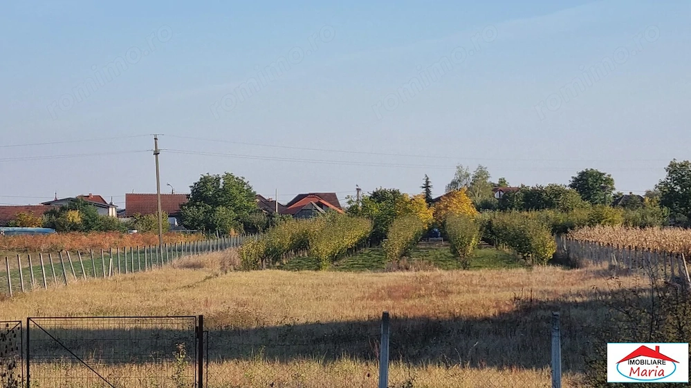 Teren intravilan in Satmarel 50 arii 55000 Euro