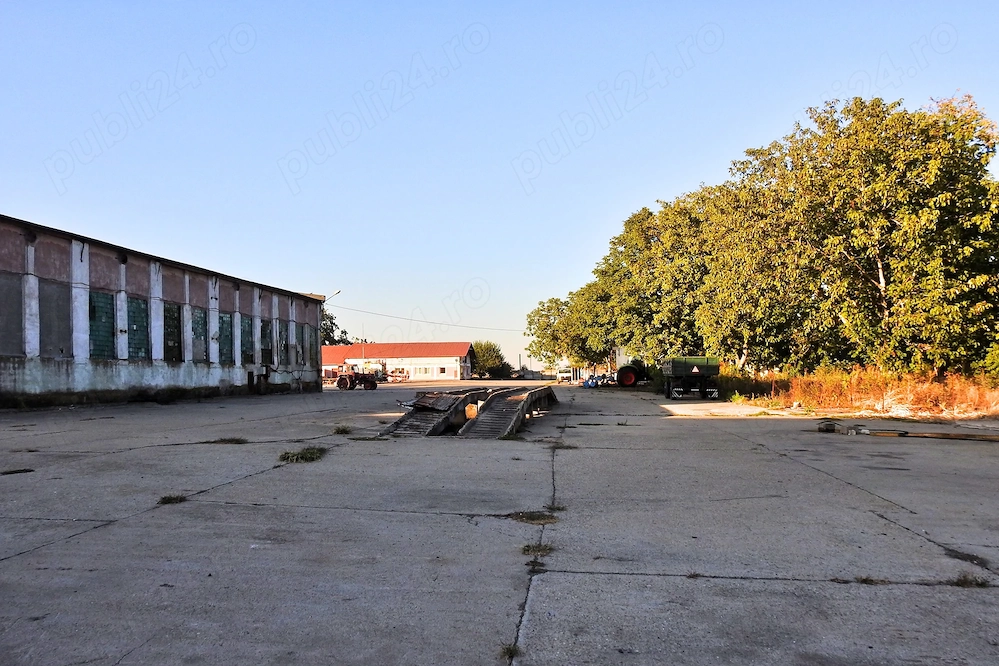 Fermă agricolă Hodoni, Timiș   2,3 ha, hale, birouri, cântar 50 t