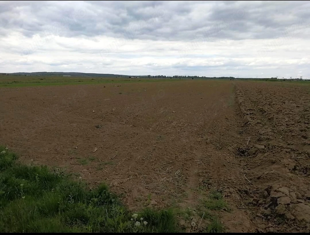 PF vand TEREN extravilan in com Strejesti jud Olt