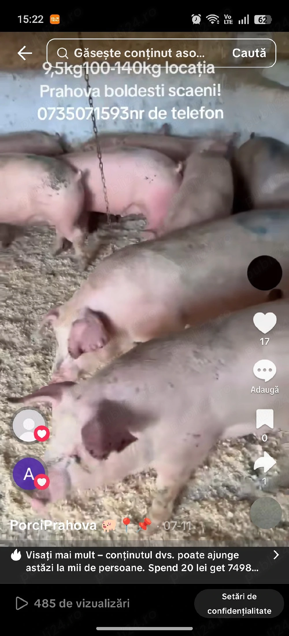 porci de carne 