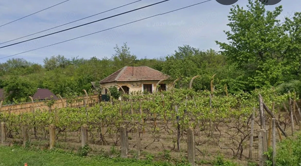 Casa parter 800 mp teren, front 30 ml, strada principala Toceni