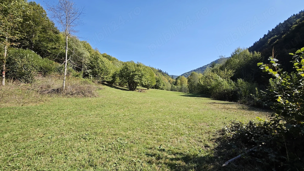 Vând teren extravilan Tarcău   Punct Radu, 4.492 mp | Teren drept + pădure