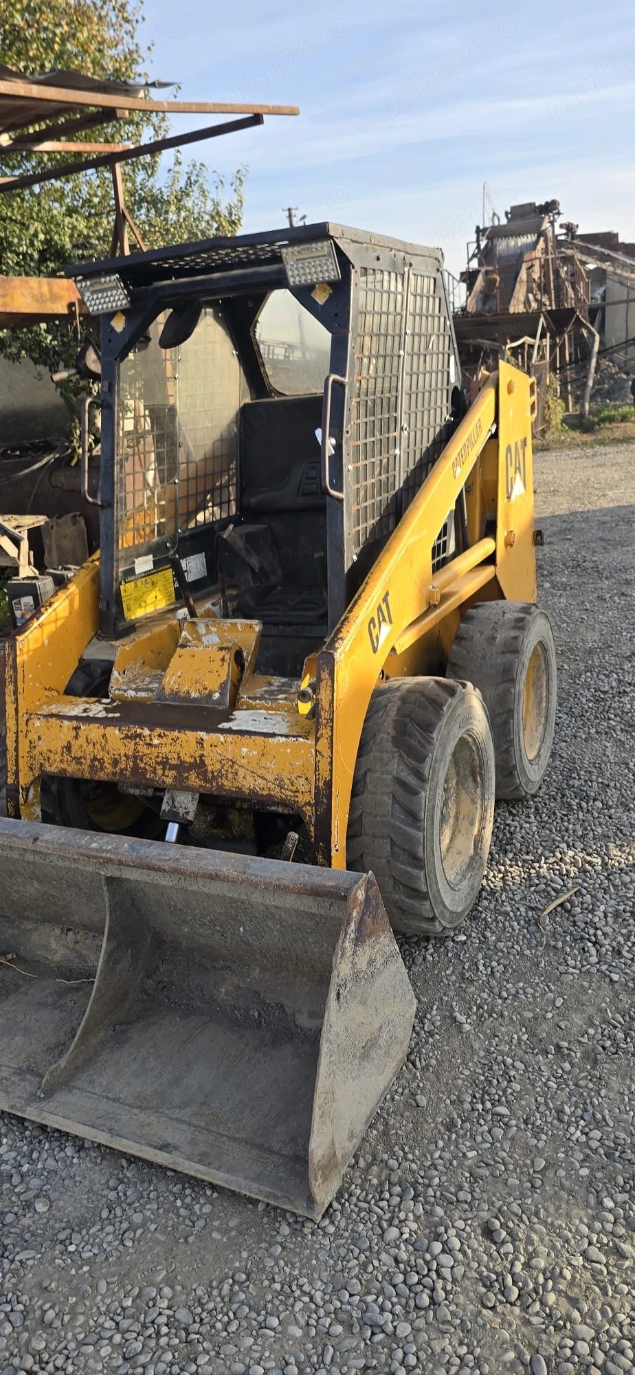 bobcat de vânzare