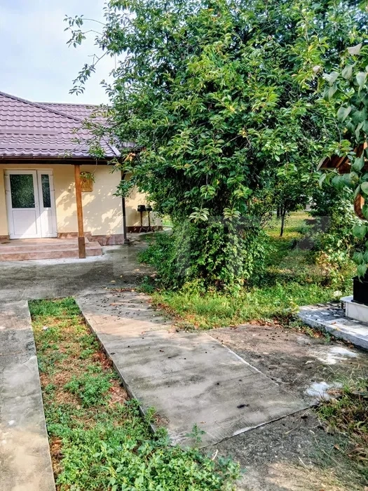 2 CASE + 6.000 MP TEREN + PĂDURE | Bilciurești, Dâmbovița