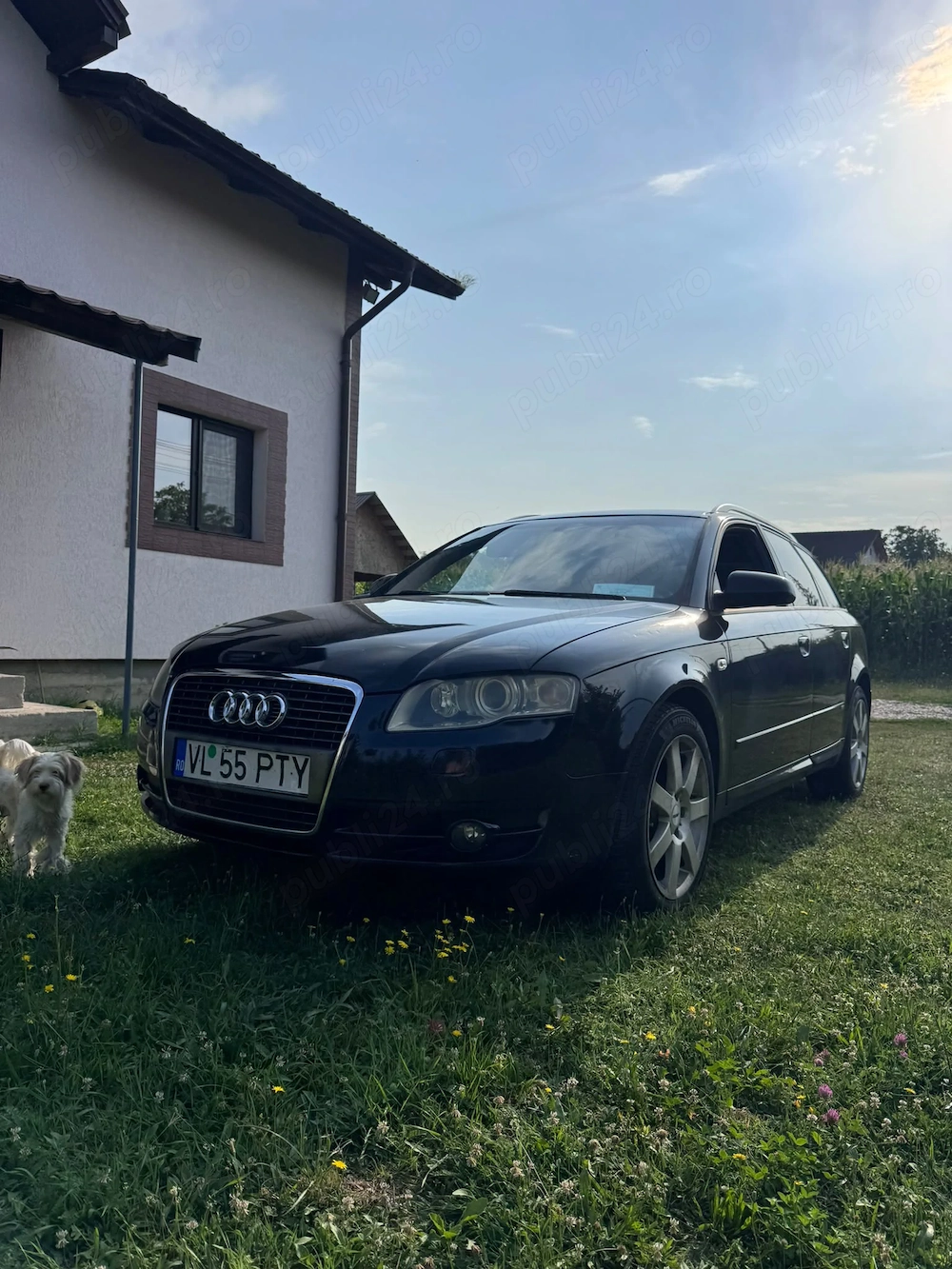 Vând Audi A4 B7 2.0 TDI