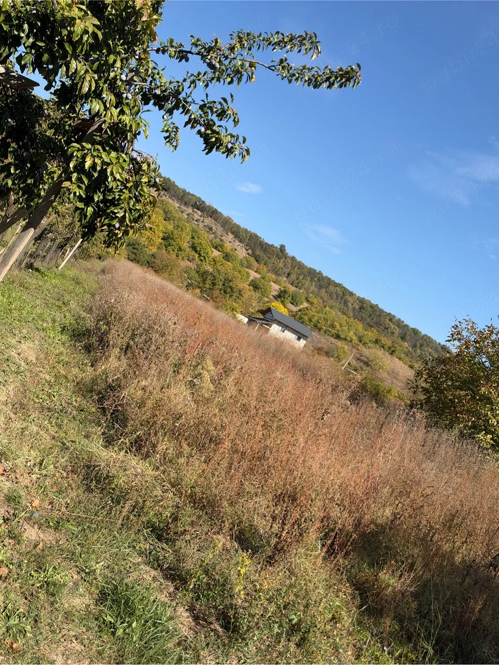 Vând Teren 2100 mp - Lerodeni, Argeș (1703mp intravilan, 397mp extravilan)