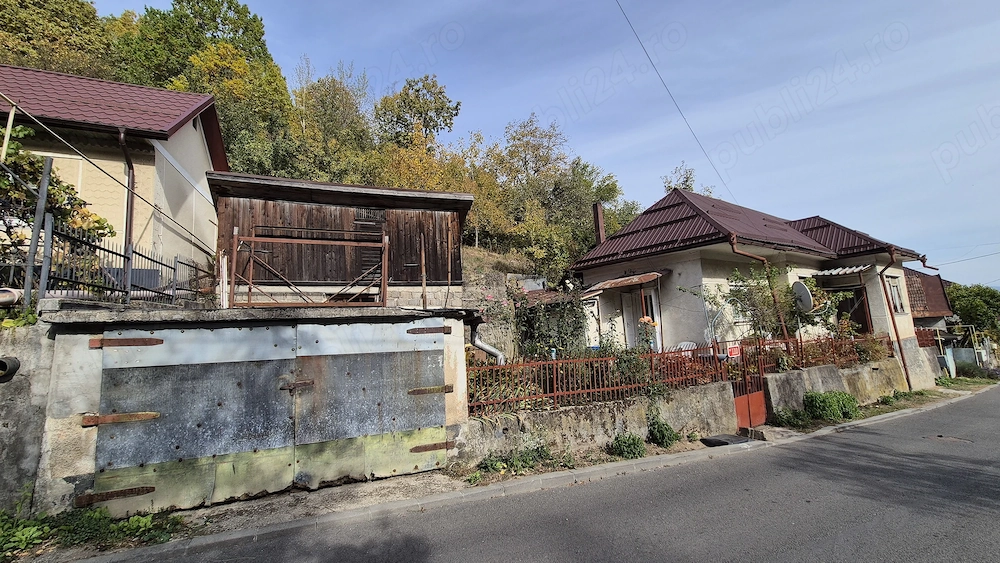 Casa de vanzare Valea Rosie