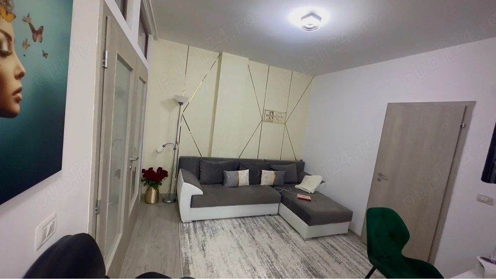 Apartament cu o camera Valea Adanca Nic Residence