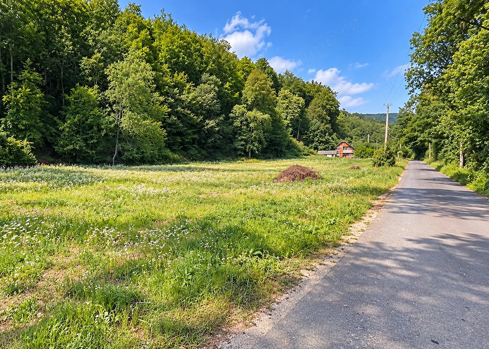 Teren pentru casa de vacanta - Cabana - Valea Gepisului 
