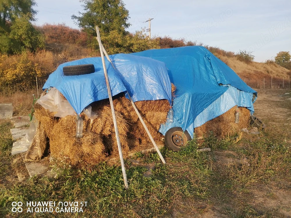Vand baloti mici de lucernă 
