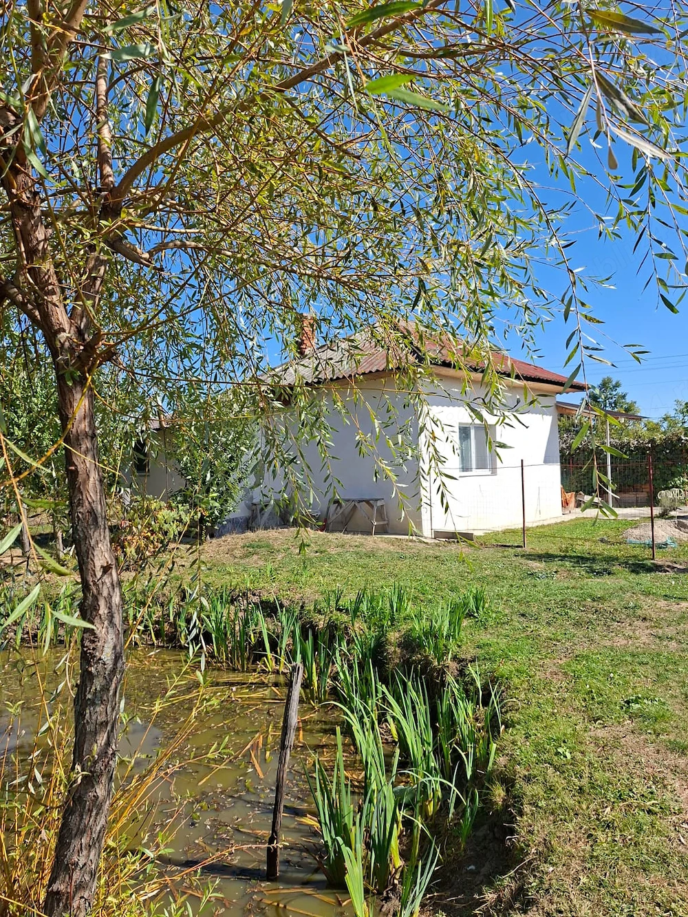 De vânzare Gospodărie completă cu casă utilată, anexe, curte și livadă mare   6.243 mp, Cuca, sat Câ