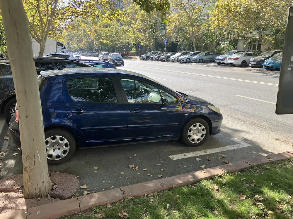 Peugeot 307, Facelift,2006,1,6,16V, 81 KW,albastru metalizat