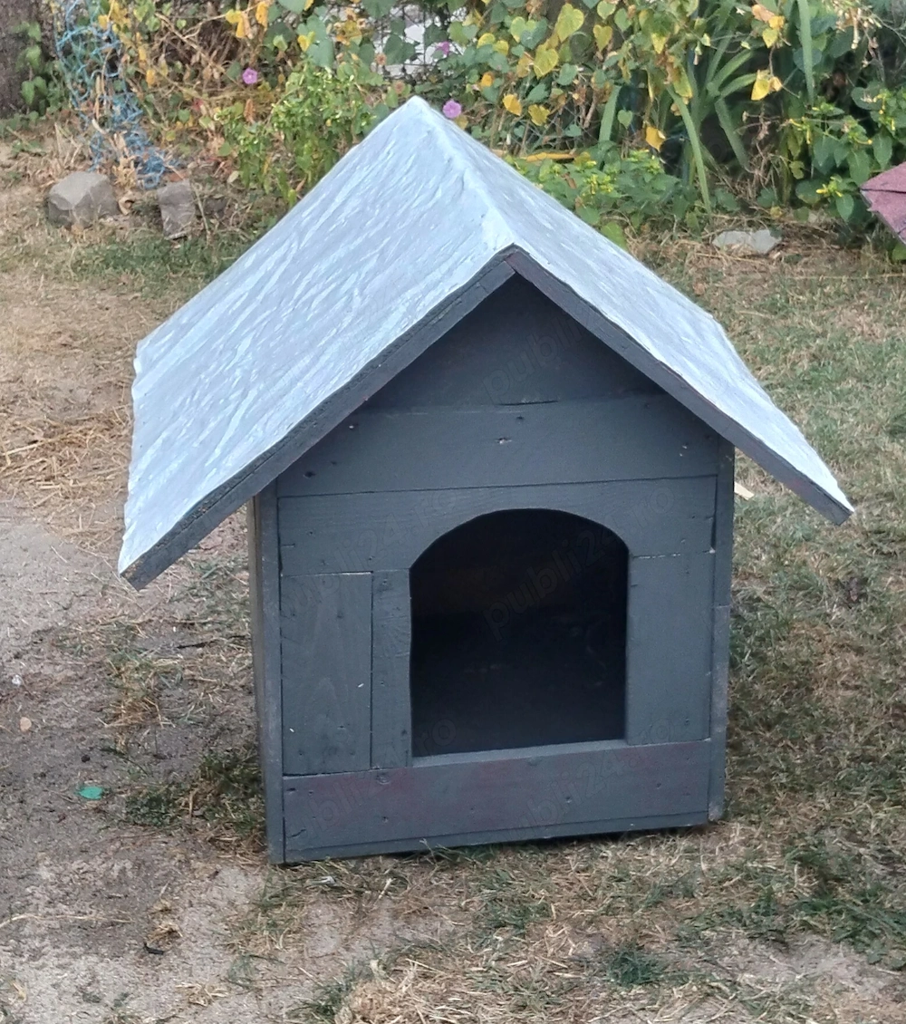 Cușcă, coteț, câine de talie mică 