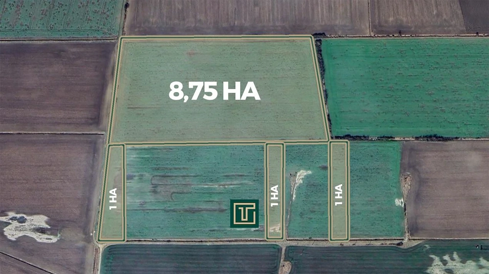 Teren agricol de 11,75 ha de vânzare, la 1,5 km de Turnu, jud. Arad