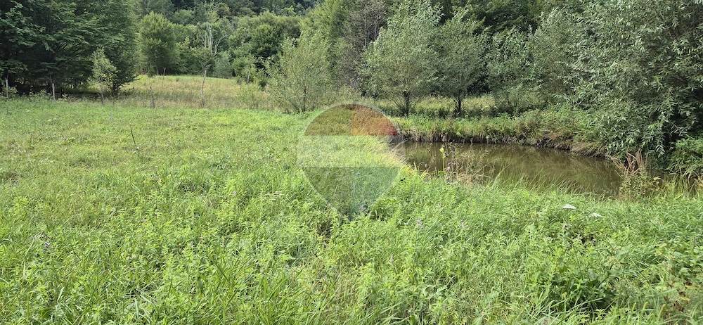 Teren de vis de 2.800 mp pe Valea Tărcăului – Cu lac natural și pădure