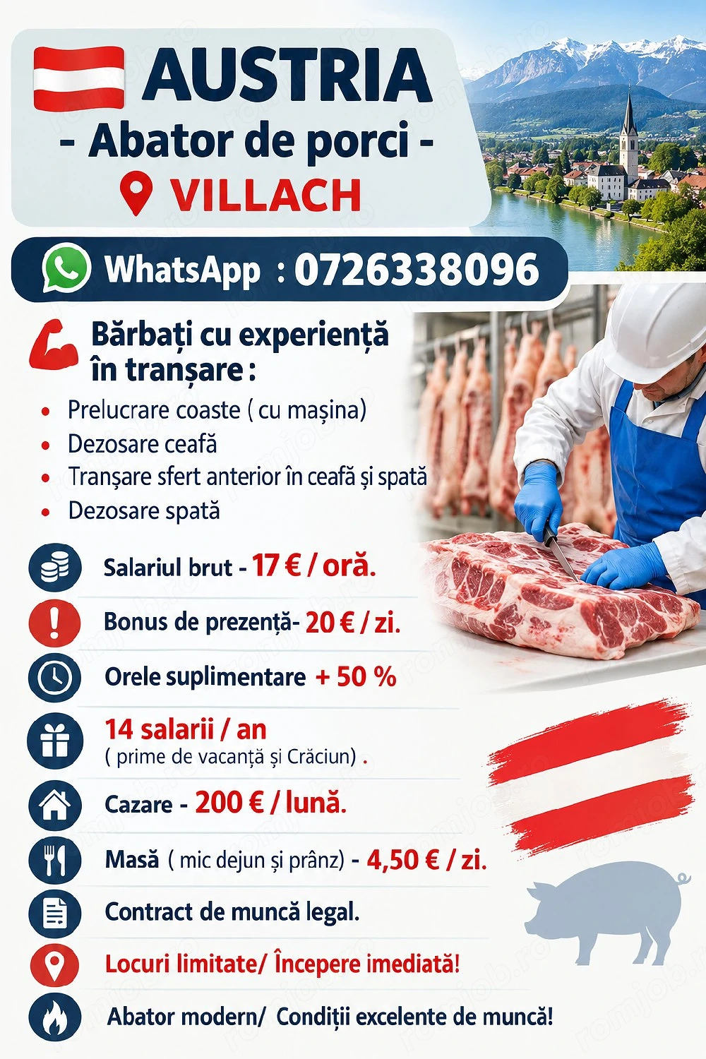Austria - Locuri de muncă pentru măcelari profesioniști  ! 