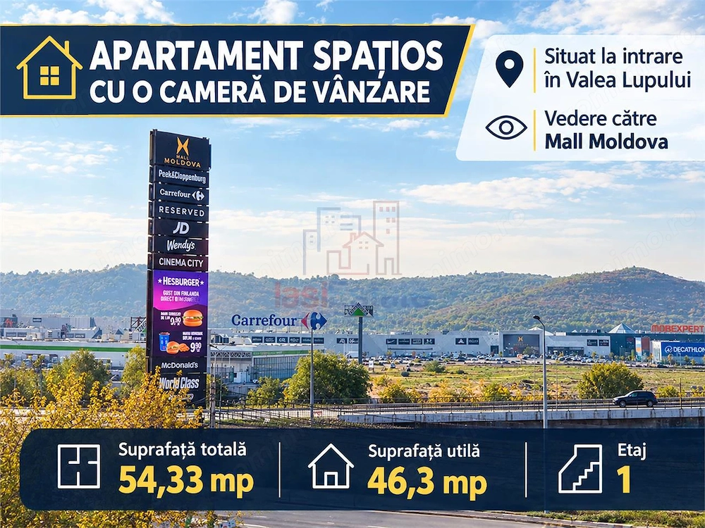 Apartament spatios cu o camera de vanzare in Valea Lupului