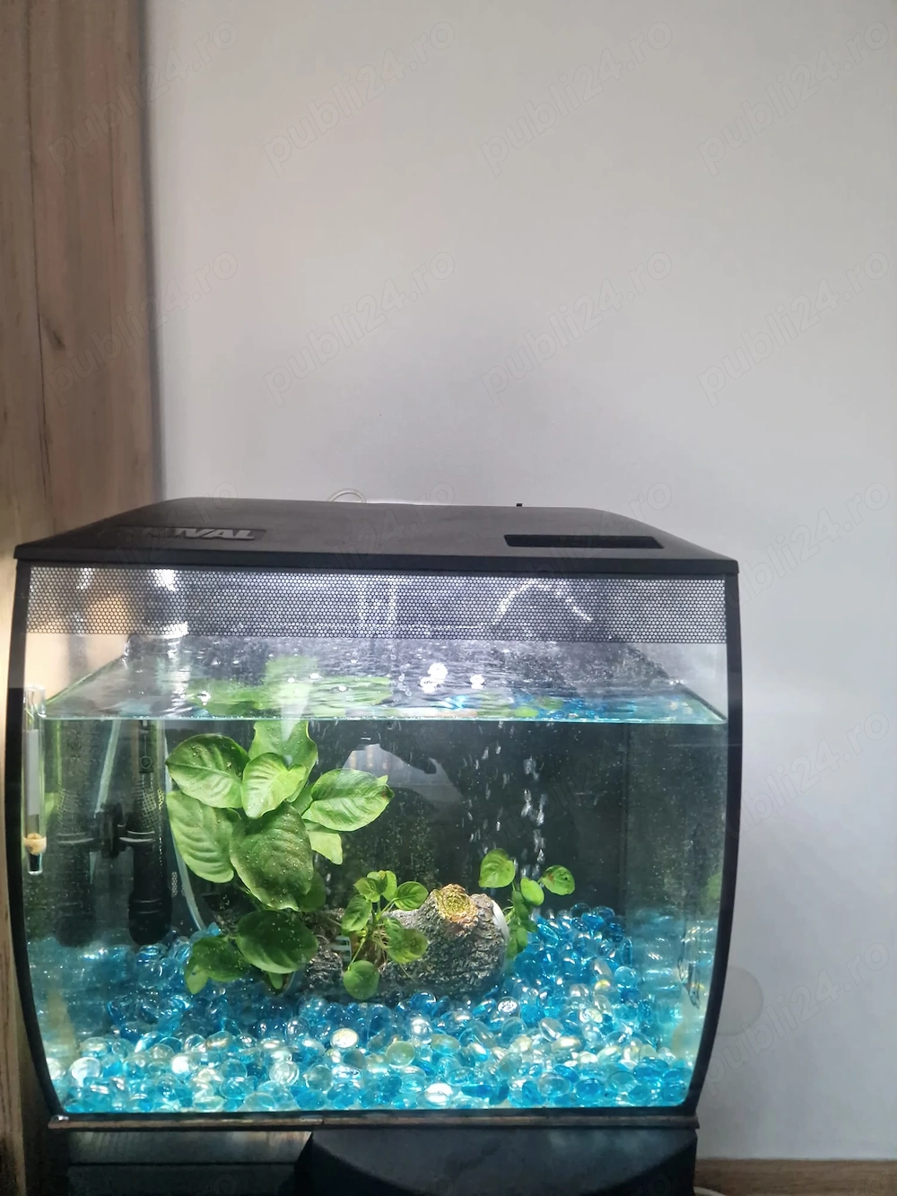 Vand acvariu Fluval, cu toate accesoriile incluse