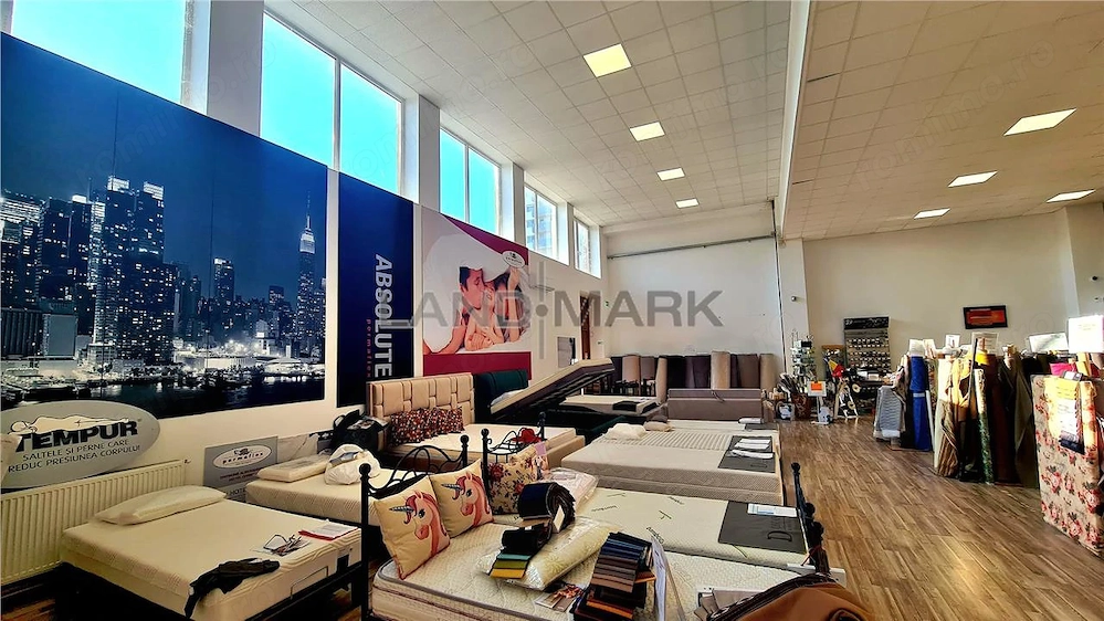 Spatiu comercial    hala de inchiriat,  Central  Timisoara