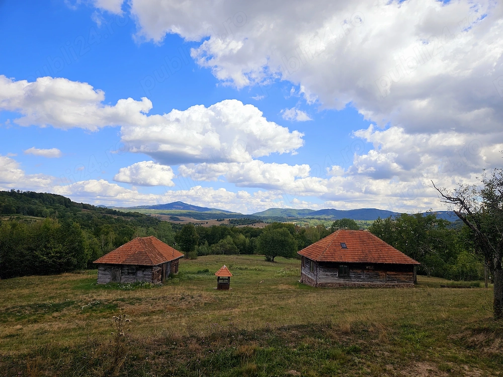 Poiană privată, pădure și casă- Negreni | Proprietate cu potențial turistic