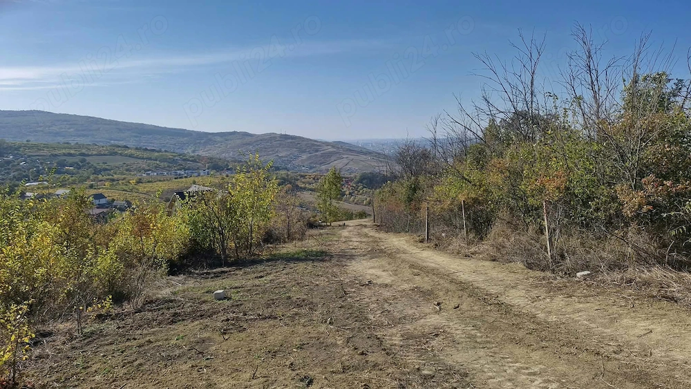 Teren Iași - poza 4