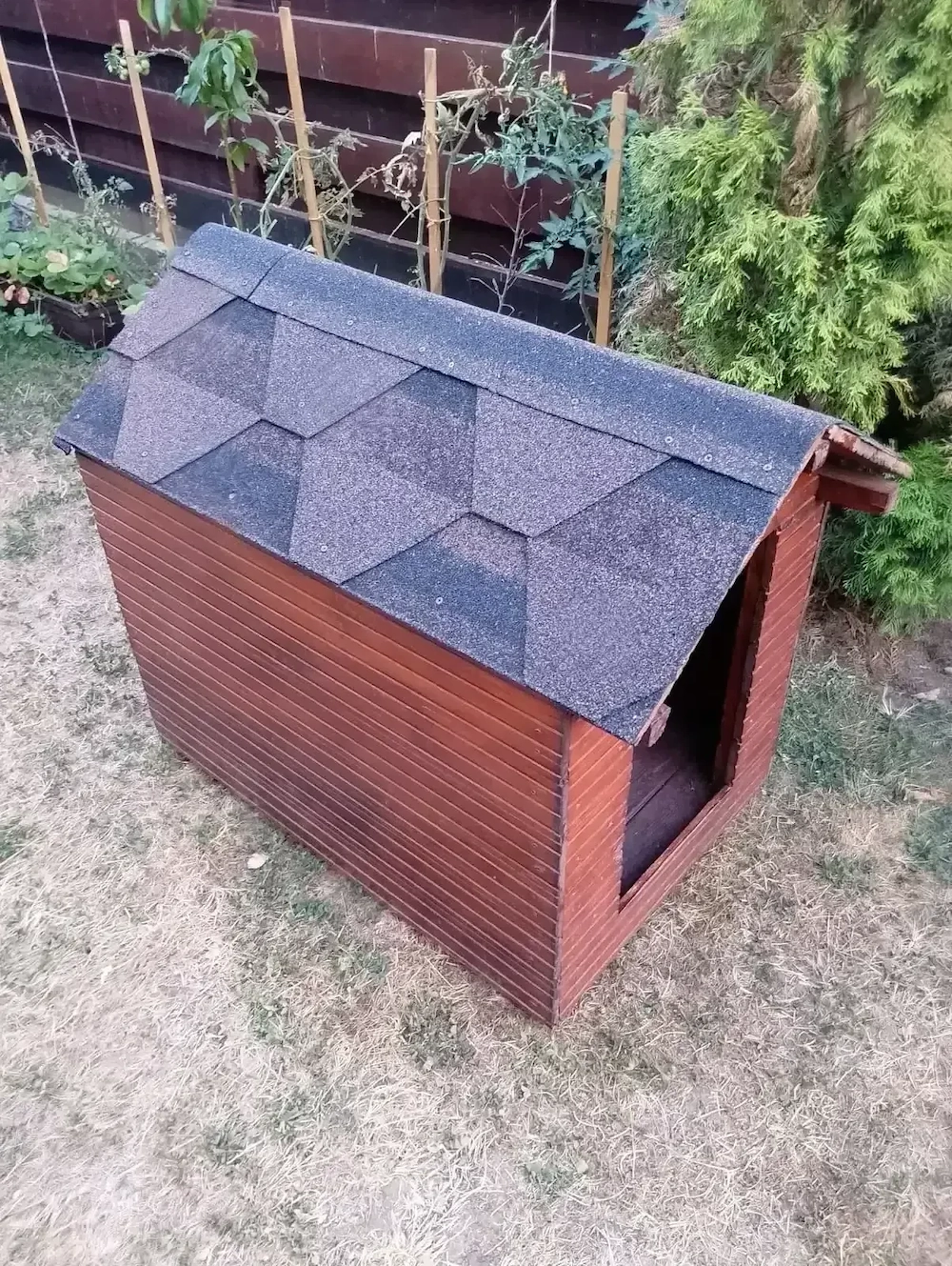 Vând cușcă de catei