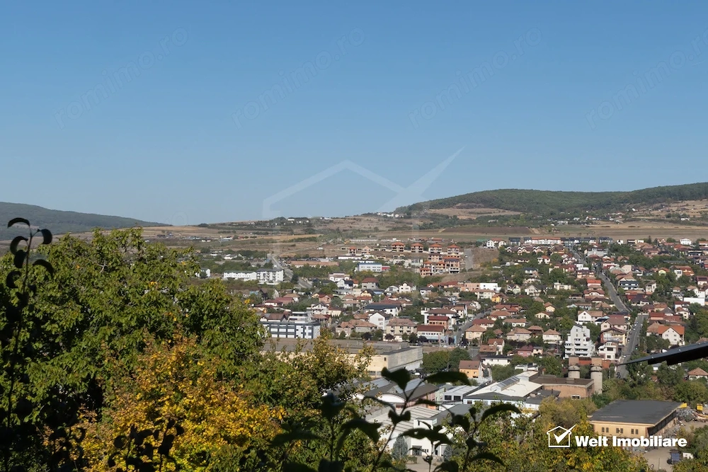 Vanzare casa individuala, spatioasa in Gruia teren 657 mp, zona linistita