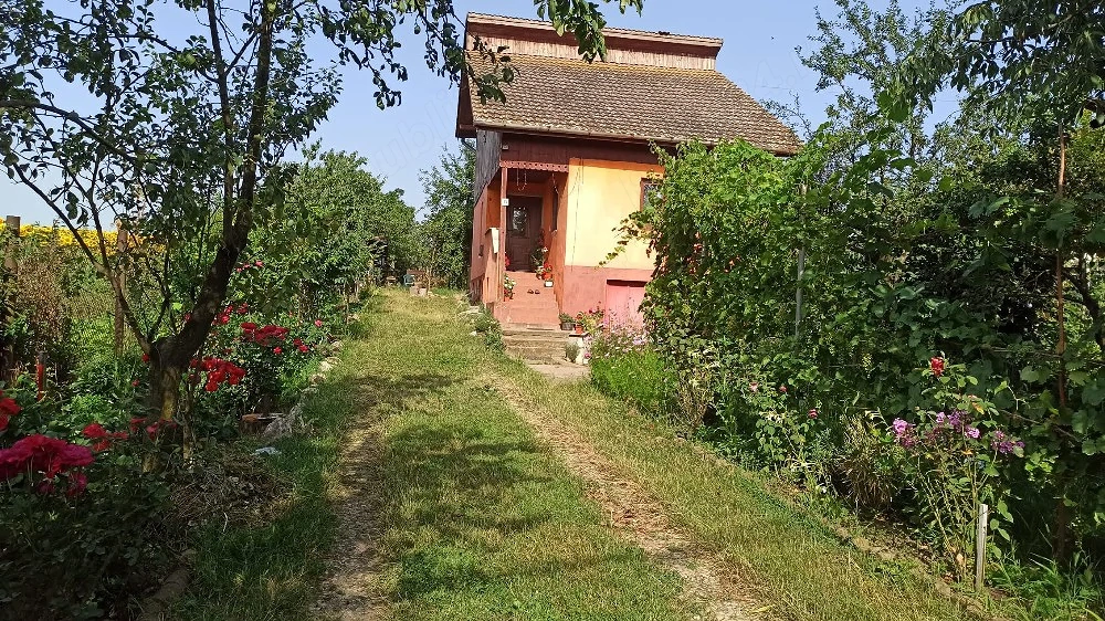 Vand casa in Vintu de Jos, strada recent modernizata