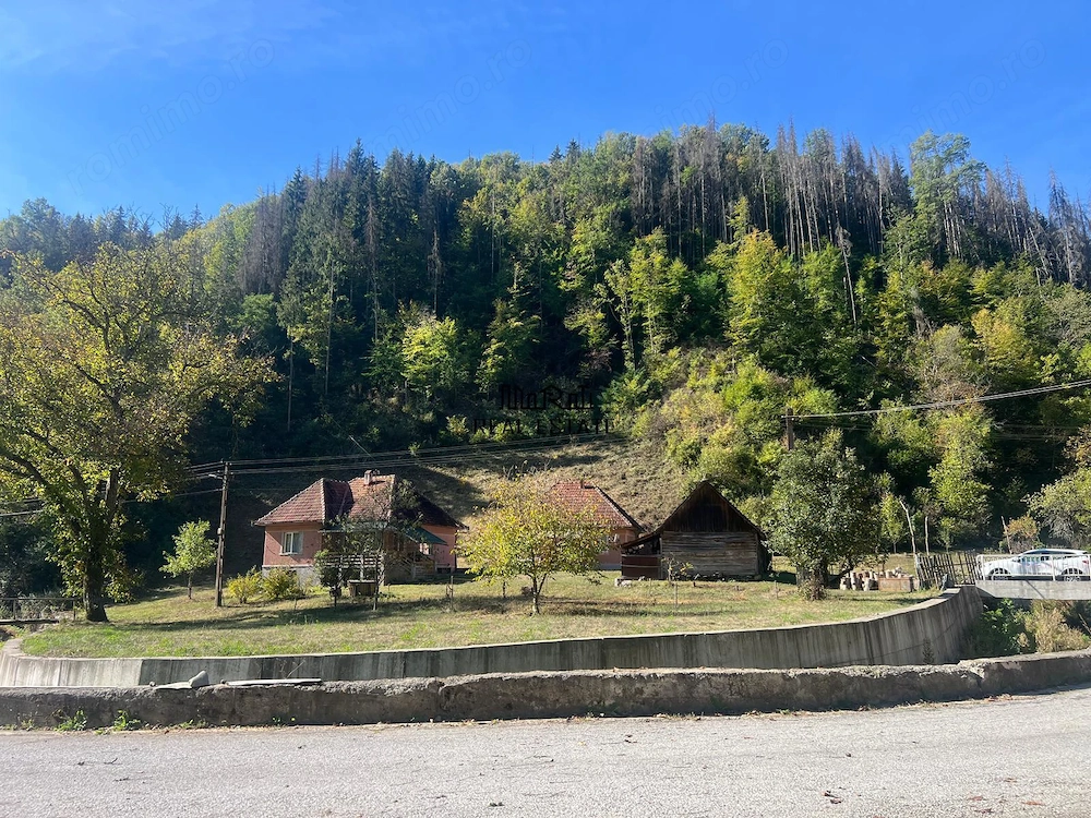 Doua case, teren si padure in Mihaileni - Buces