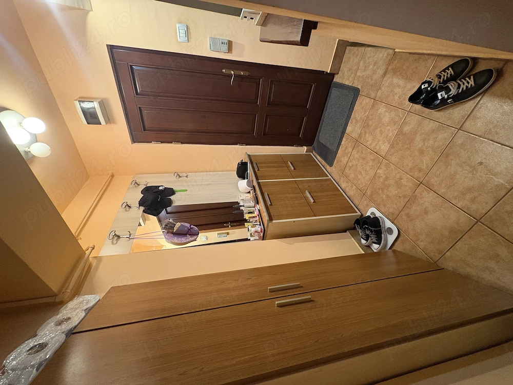 Apartament 1 camera Arad - poza 2