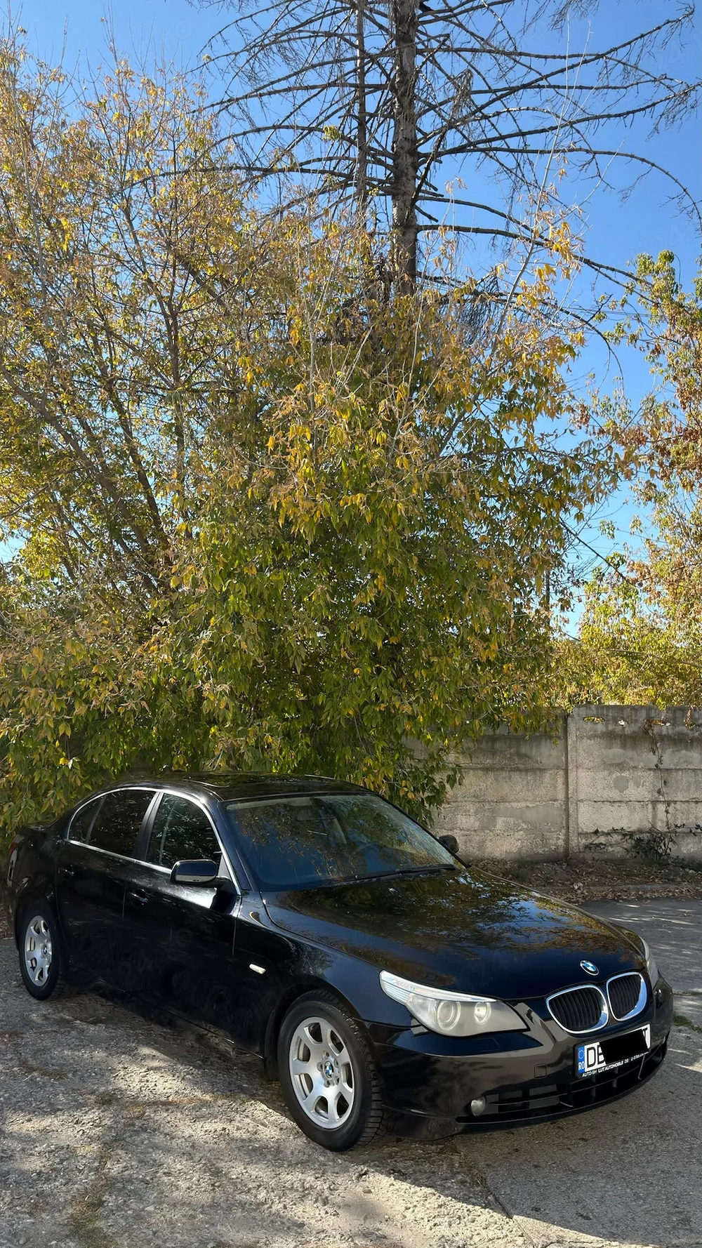BMW Seria 5 E60 520D M47 Dpf Trapa Import Germania