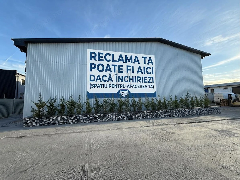 SPA #538;IU PREMIUM DE  #206;NCHIRIAT  #206;N MO #536;NI #538;A NOU #258; | ACCES TIR   CAMIOANE
