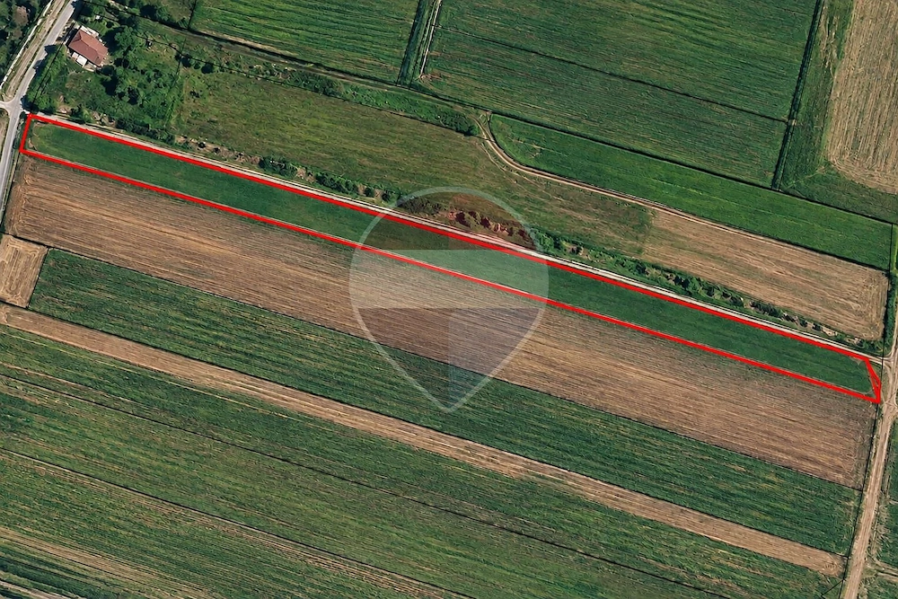 Teren  14.000 Strada Campurilor