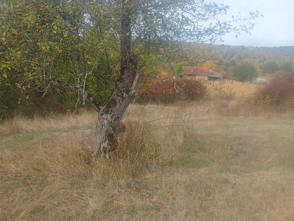 vând teren intravilan