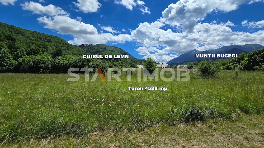 Teren extravilan Glajarie zona Cuibul de Lemn