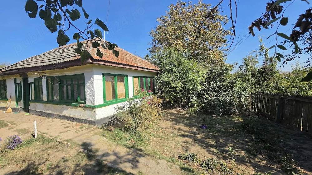 Casa veche cu TEREN 1100 mp  in Maineasca Ilfov la 20 km de Bucuresti 38.000 Euro Negociabil